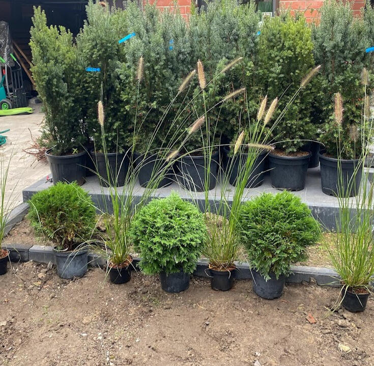 METAMORFOZY MAŁYCH OGRODÓW