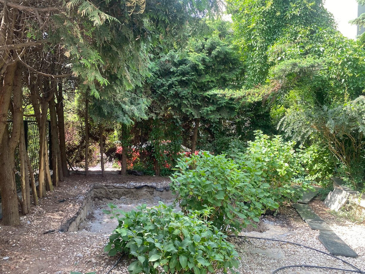 widok z przodu